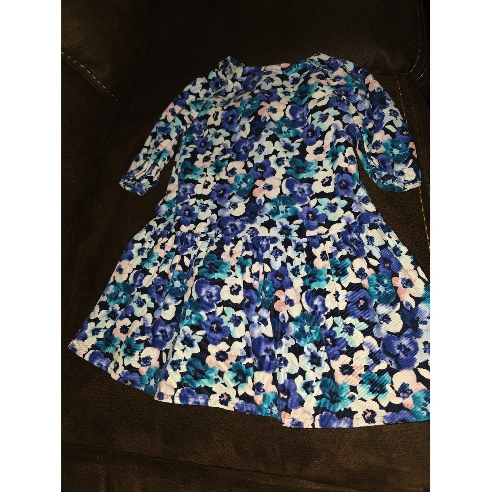 Gymboree butterfly garden floral cord dress size 2t